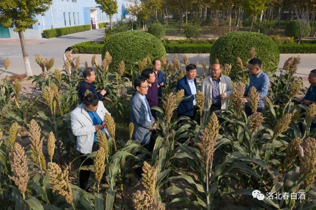 640_wx_fmt=jpeg&wxfrom=5&wx_lazy=1&wx_co=1 (5).jpg 圖片