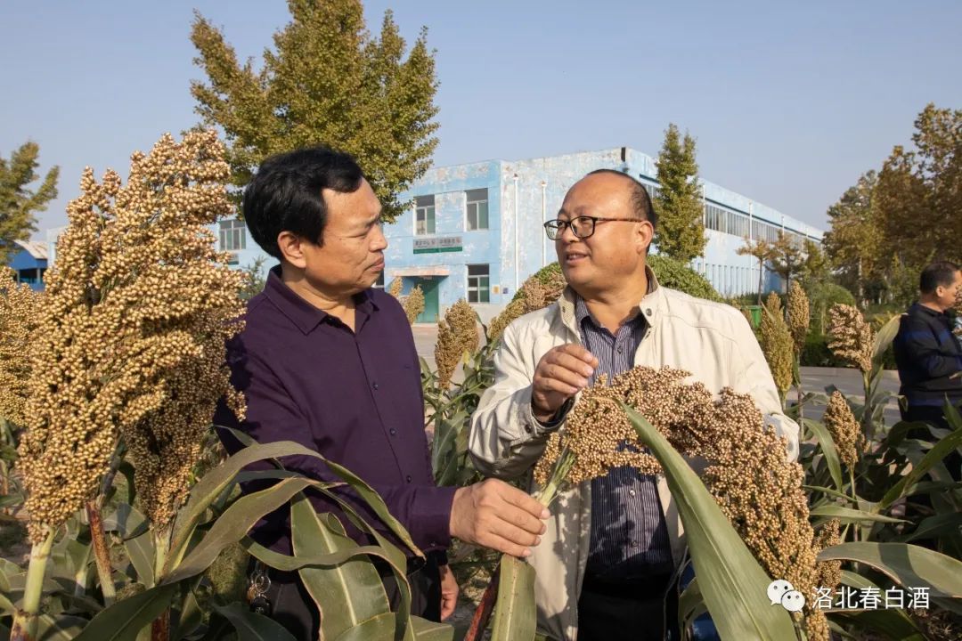 640_wx_fmt=jpeg&wxfrom=5&wx_lazy=1&wx_co=1 (3).jpg 圖片